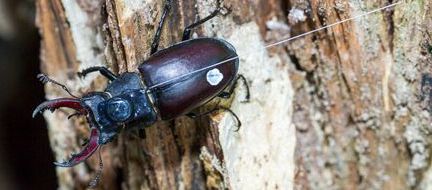 Actieve zendertechnologie